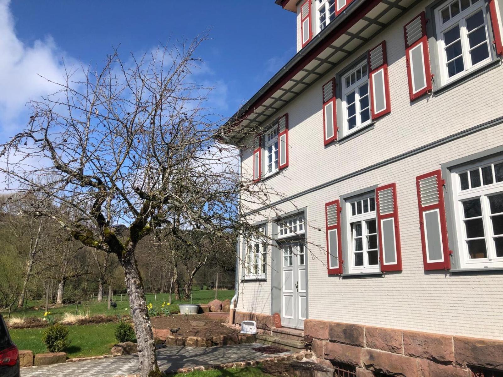 פרוידנשטאדט Ferienwohnung Am Stockerbach מראה חיצוני תמונה